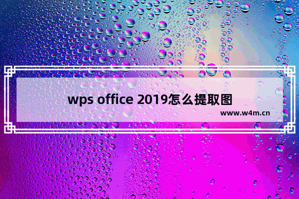 wps office 2019怎么提取图片中的文字? wps2019图片转文字的技巧