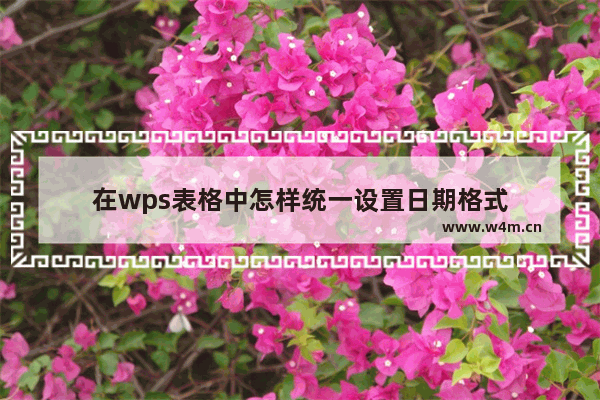 在wps表格中怎样统一设置日期格式