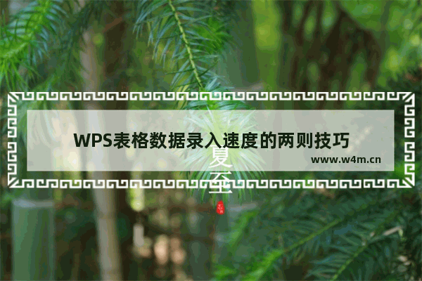 WPS表格数据录入速度的两则技巧