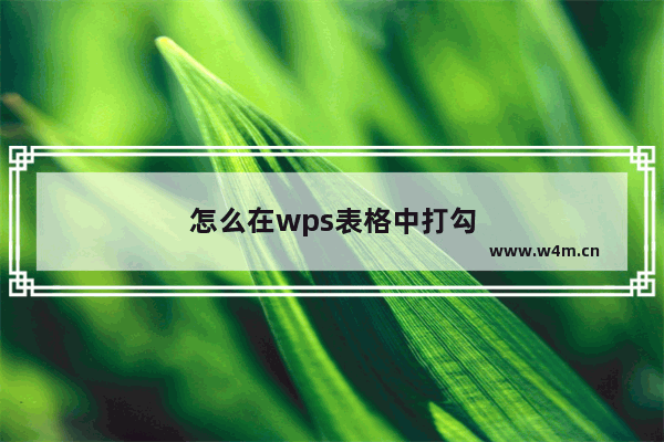 怎么在wps表格中打勾