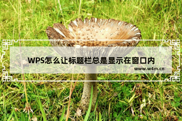 WPS怎么让标题栏总是显示在窗口内