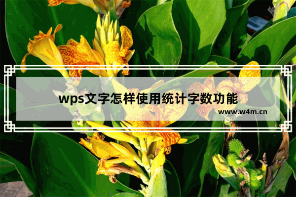 wps文字怎样使用统计字数功能