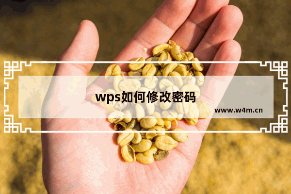 wps如何修改密码