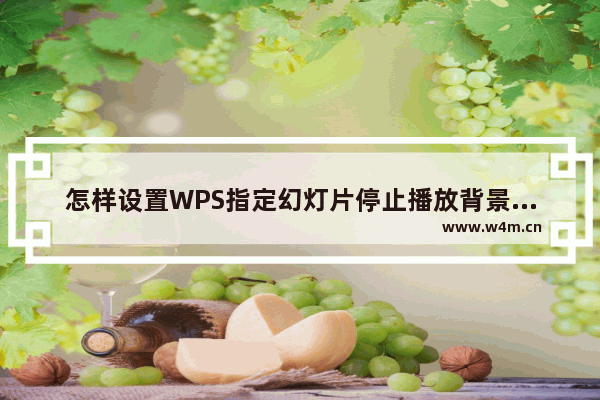 怎样设置WPS指定幻灯片停止播放背景音乐