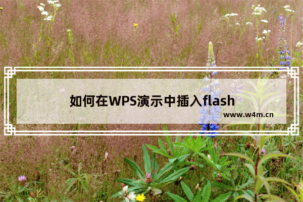 如何在WPS演示中插入flash