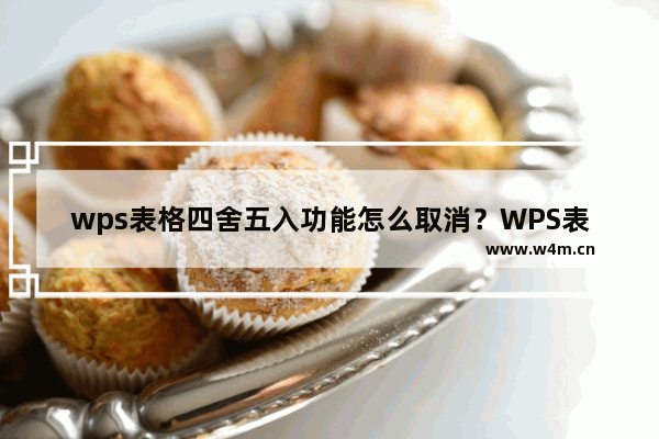 wps表格四舍五入功能怎么取消？WPS表格取消四舍五入方法图解