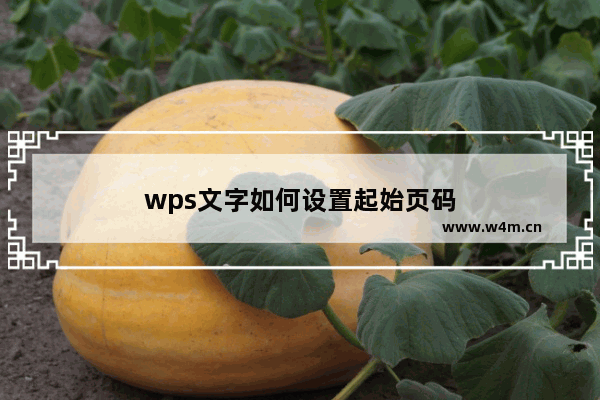 wps文字如何设置起始页码