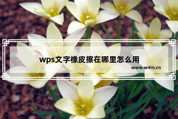 wps文字橡皮擦在哪里怎么用