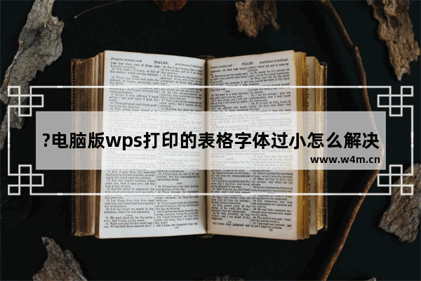 ?电脑版wps打印的表格字体过小怎么解决