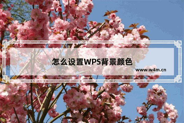 怎么设置WPS背景颜色