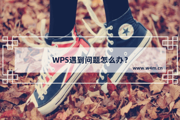 WPS遇到问题怎么办？