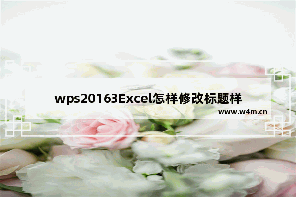 wps20163Excel怎样修改标题样式