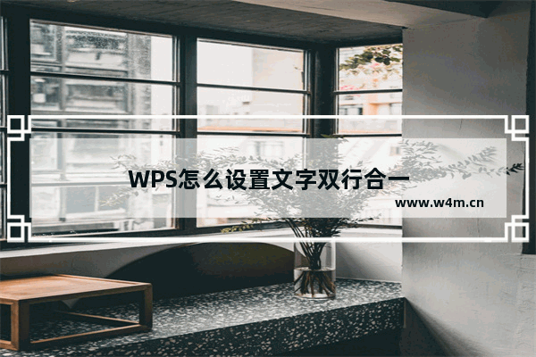 WPS怎么设置文字双行合一