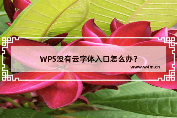 WPS没有云字体入口怎么办？