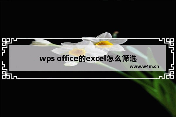 wps office的excel怎么筛选