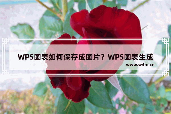 WPS图表如何保存成图片？WPS图表生成图片方法