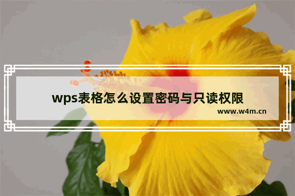 wps表格怎么设置密码与只读权限