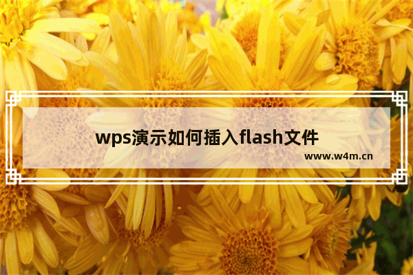 wps演示如何插入flash文件