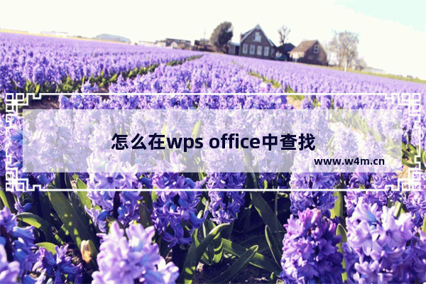 怎么在wps office中查找