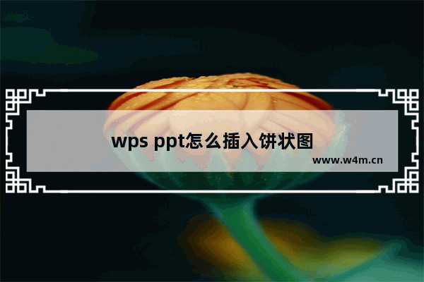 wps ppt怎么插入饼状图