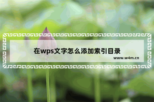 在wps文字怎么添加索引目录