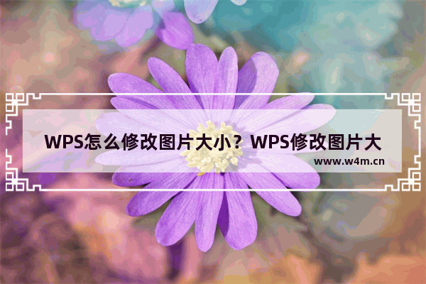 WPS怎么修改图片大小？WPS修改图片大小的方法