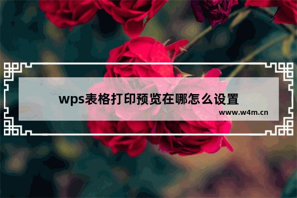 wps表格打印预览在哪怎么设置