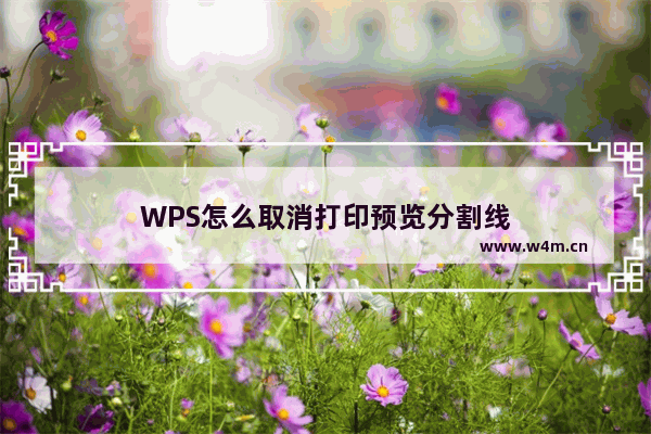 WPS怎么取消打印预览分割线