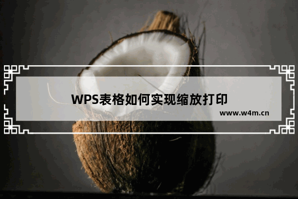 WPS表格如何实现缩放打印