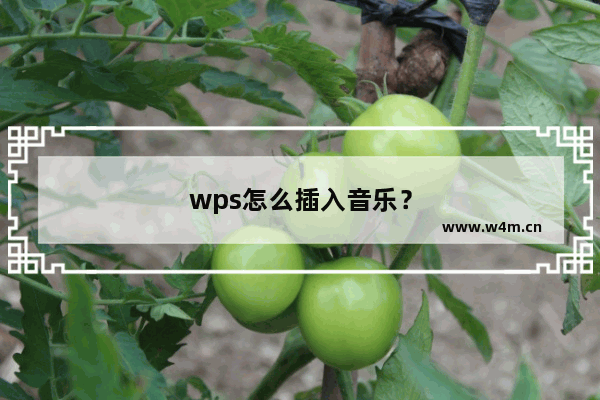 wps怎么插入音乐？