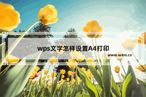 wps文字怎样设置A4打印