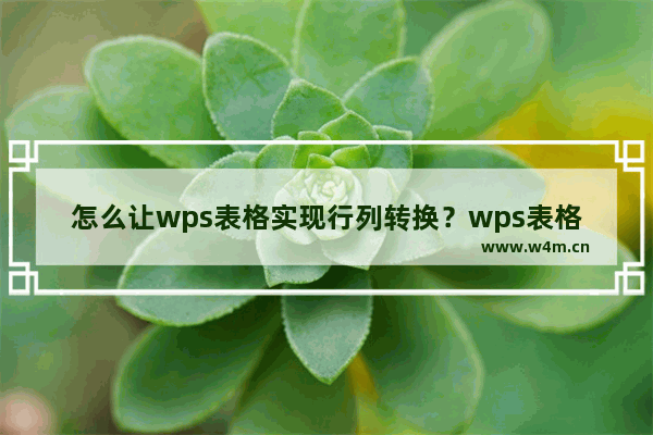 怎么让wps表格实现行列转换？wps表格实现行列转换的方法技巧