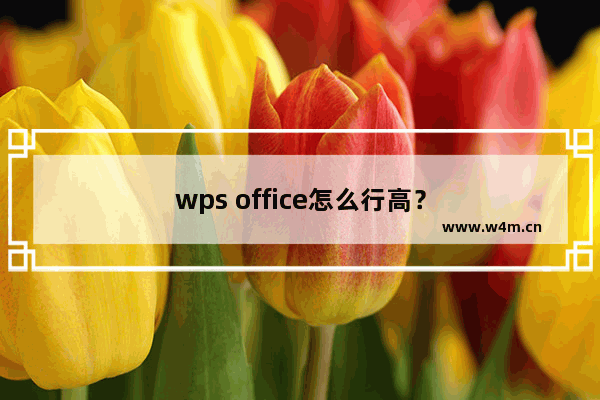 wps office怎么行高？