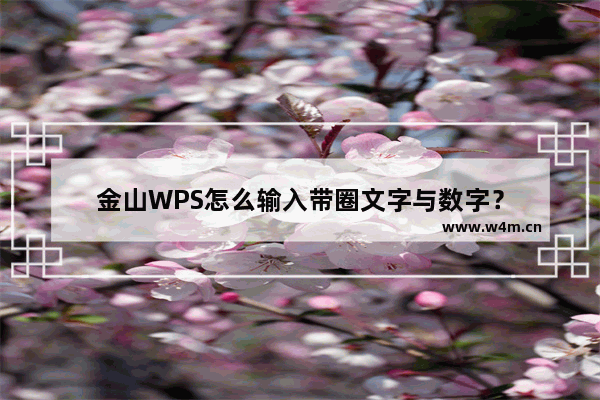 金山WPS怎么输入带圈文字与数字？