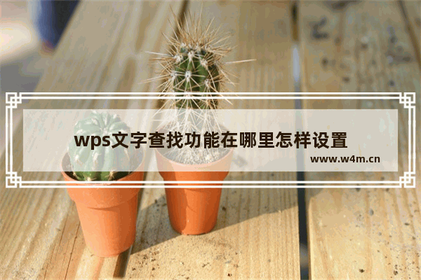 wps文字查找功能在哪里怎样设置