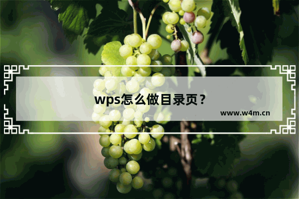 wps怎么做目录页？