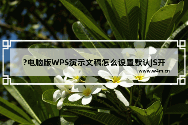 ?电脑版WPS演示文稿怎么设置默认JS开发环境