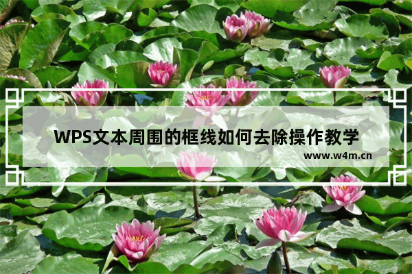 WPS文本周围的框线如何去除操作教学