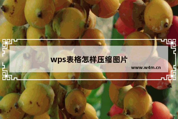 wps表格怎样压缩图片