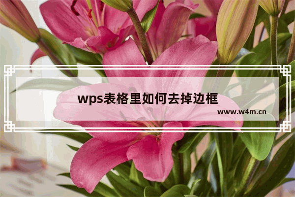 wps表格里如何去掉边框