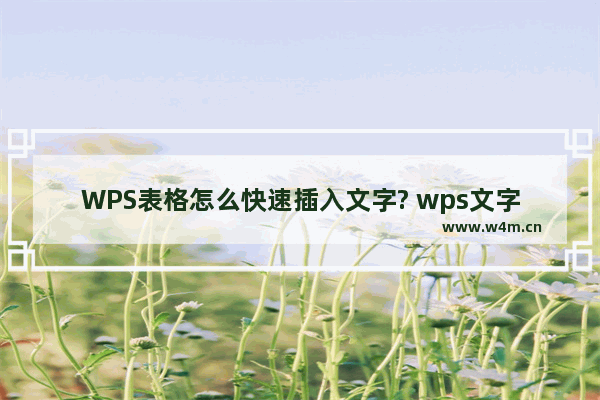 WPS表格怎么快速插入文字? wps文字填充到表格的教程