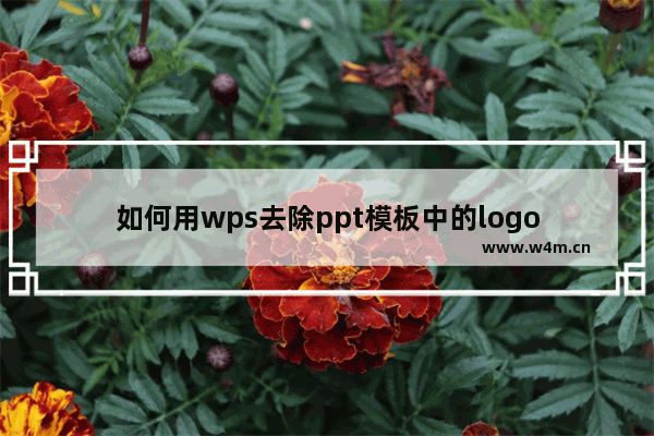 如何用wps去除ppt模板中的logo