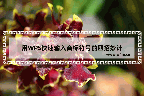 用WPS快速输入商标符号的四招妙计