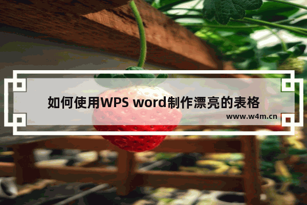 如何使用WPS word制作漂亮的表格