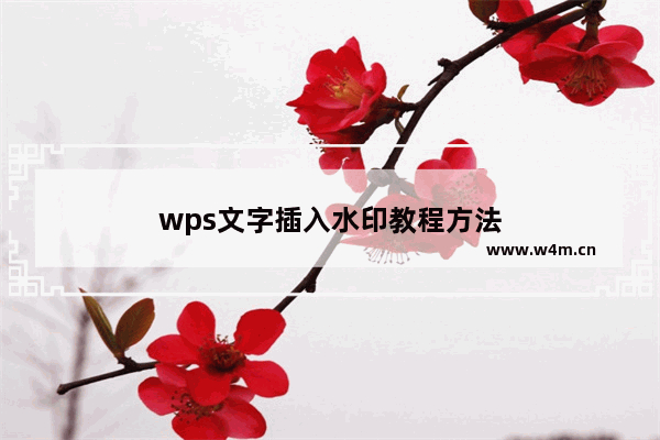 wps文字插入水印教程方法