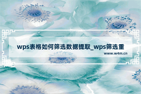 wps表格如何筛选数据提取_wps筛选重复数据并提取教程