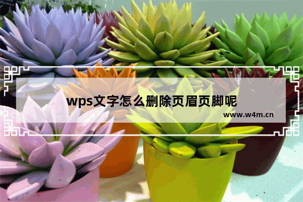 wps文字怎么删除页眉页脚呢