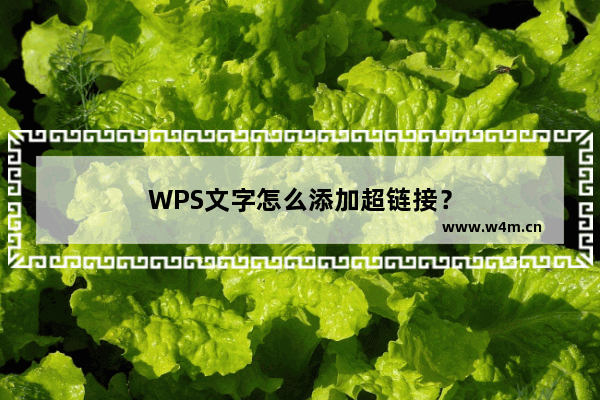 WPS文字怎么添加超链接？