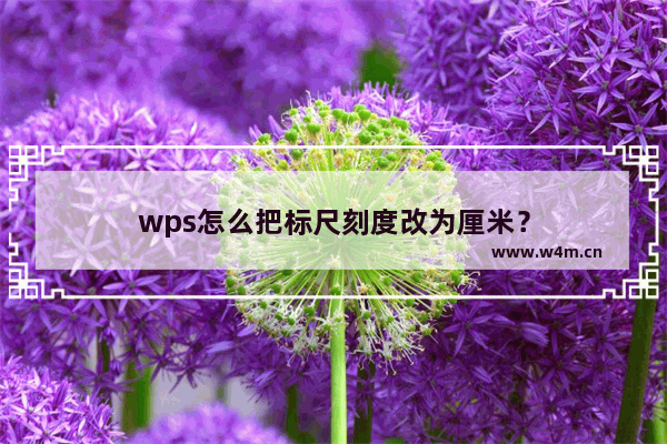 wps怎么把标尺刻度改为厘米？