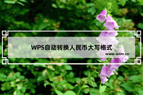 WPS自动转换人民币大写格式